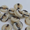 Button - Mottled Classic #2 ‘Faux Horn’ - 15mm
